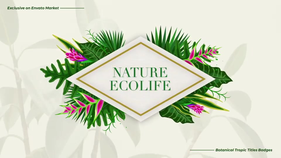 Tropical Titles Badge Videohive 23389450 After Effects Image 9