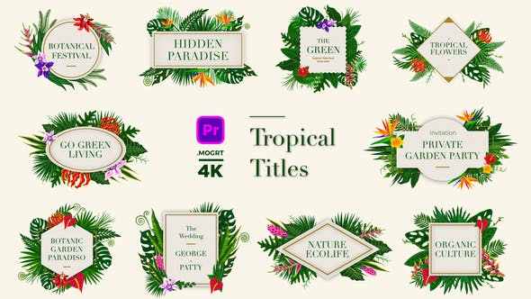 Tropical Titles - Download Videohive 24003189