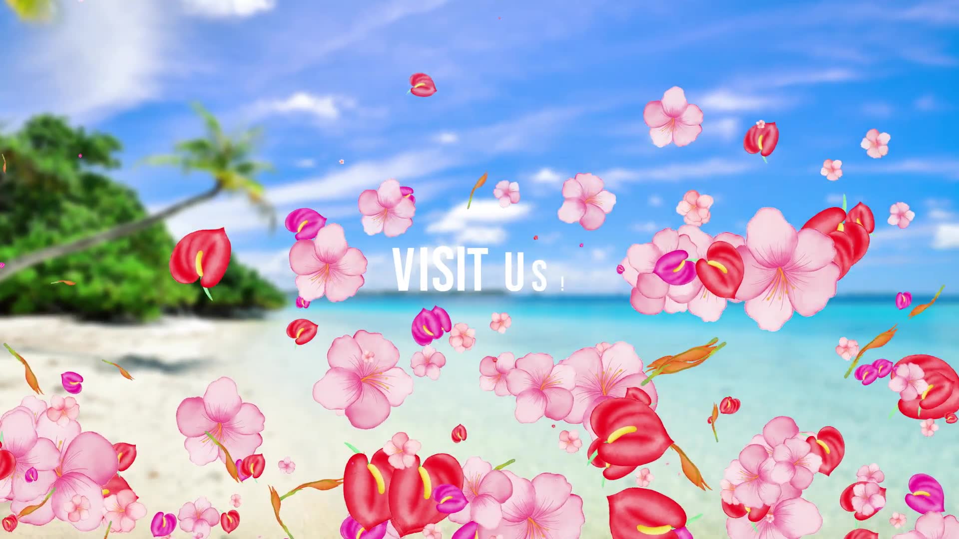 Tropical Vibes Logo Reveal Videohive 31125146 After Effects Image 7