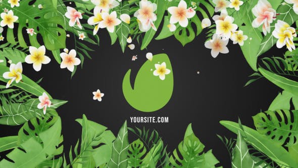 Tropical Vibes Logo Reveal - Videohive 31125146 Download