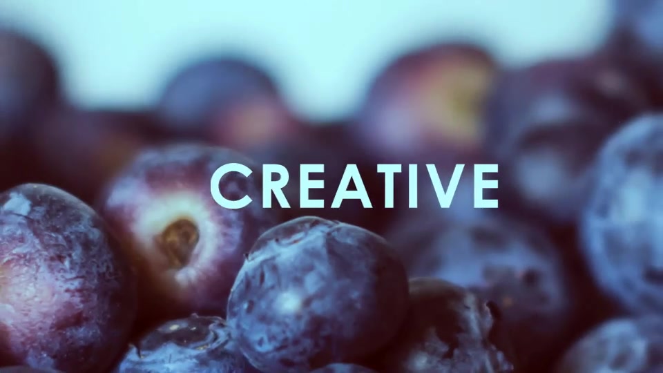 Tv Minimal Food Promo Videohive 23879569 After Effects Image 5