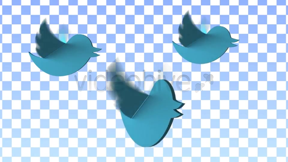 Twitter Birds Flying Videohive 4847563 Motion Graphics Image 9