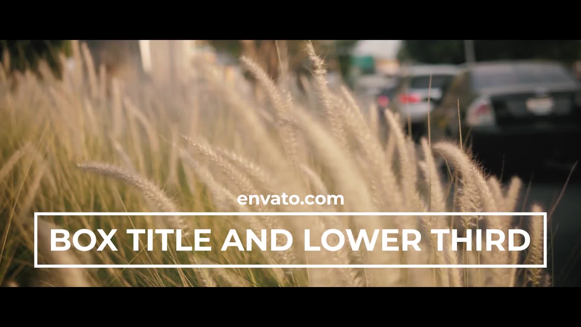 Two in one — Lower Thirds & Titles for Premiere Pro Videohive 26541153 Premiere Pro Image 7