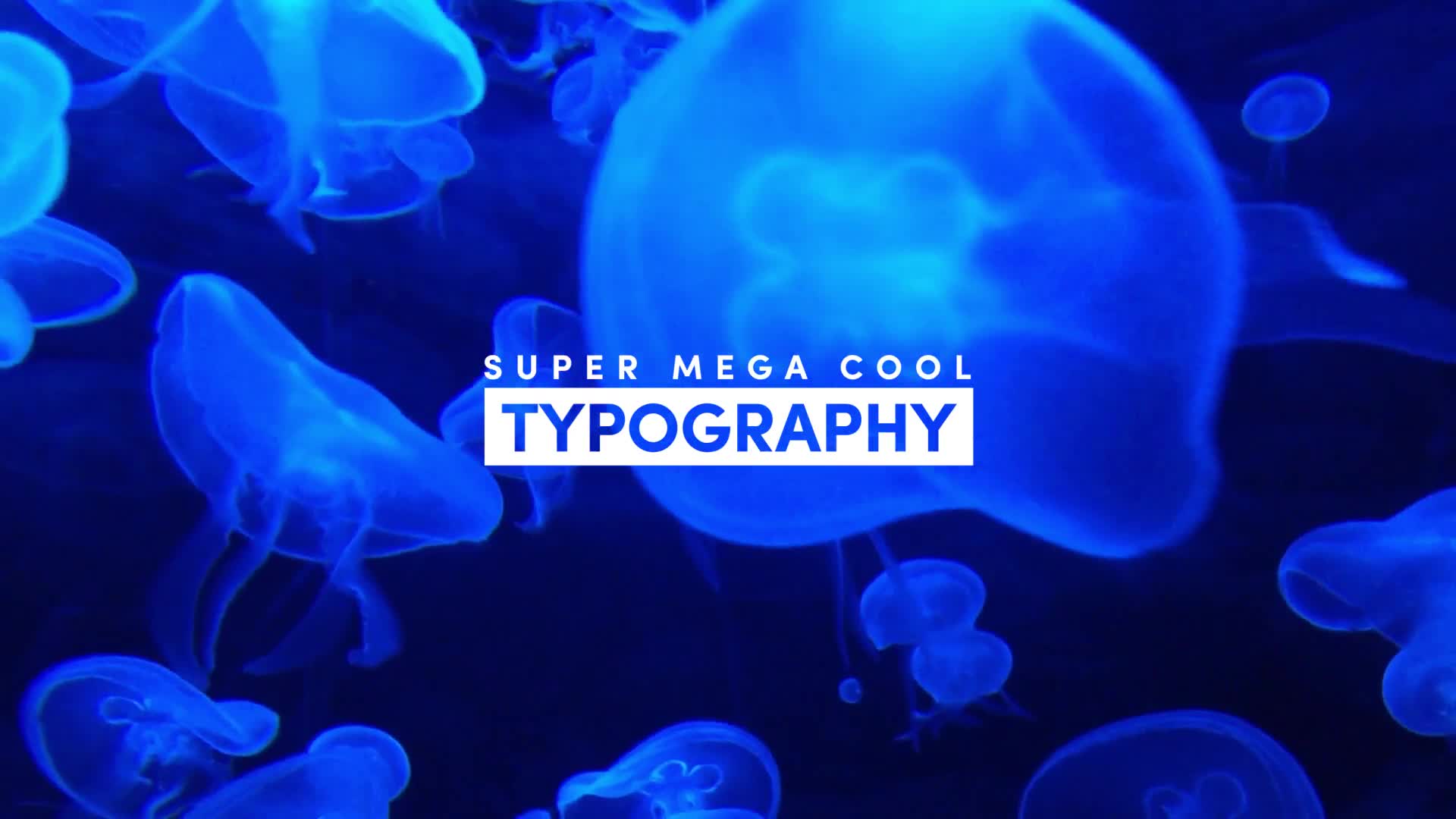 Typography - Download Videohive 22401668