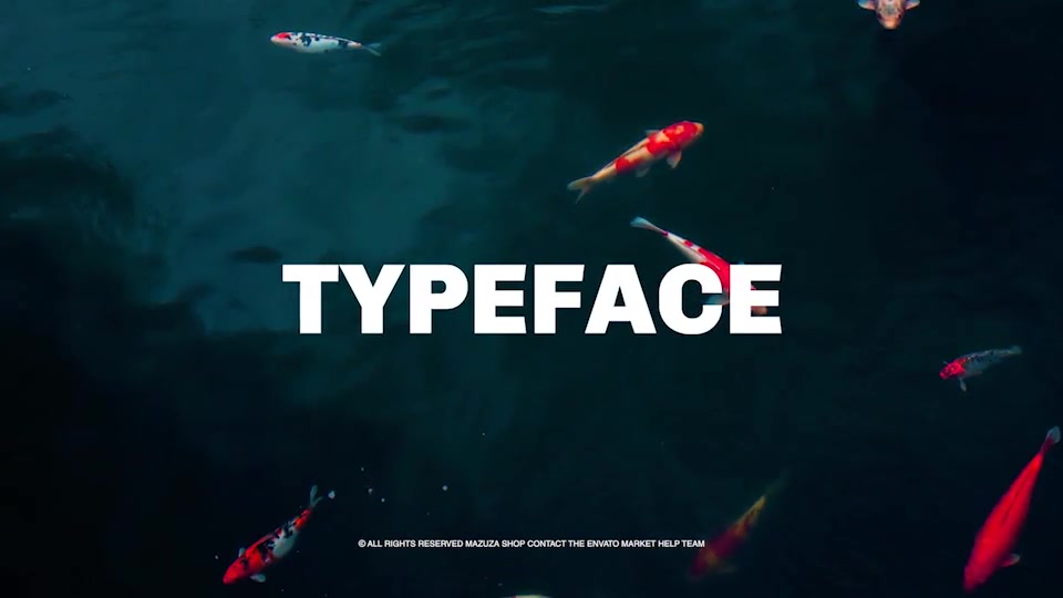 Typography Pack - Download Videohive 20203596