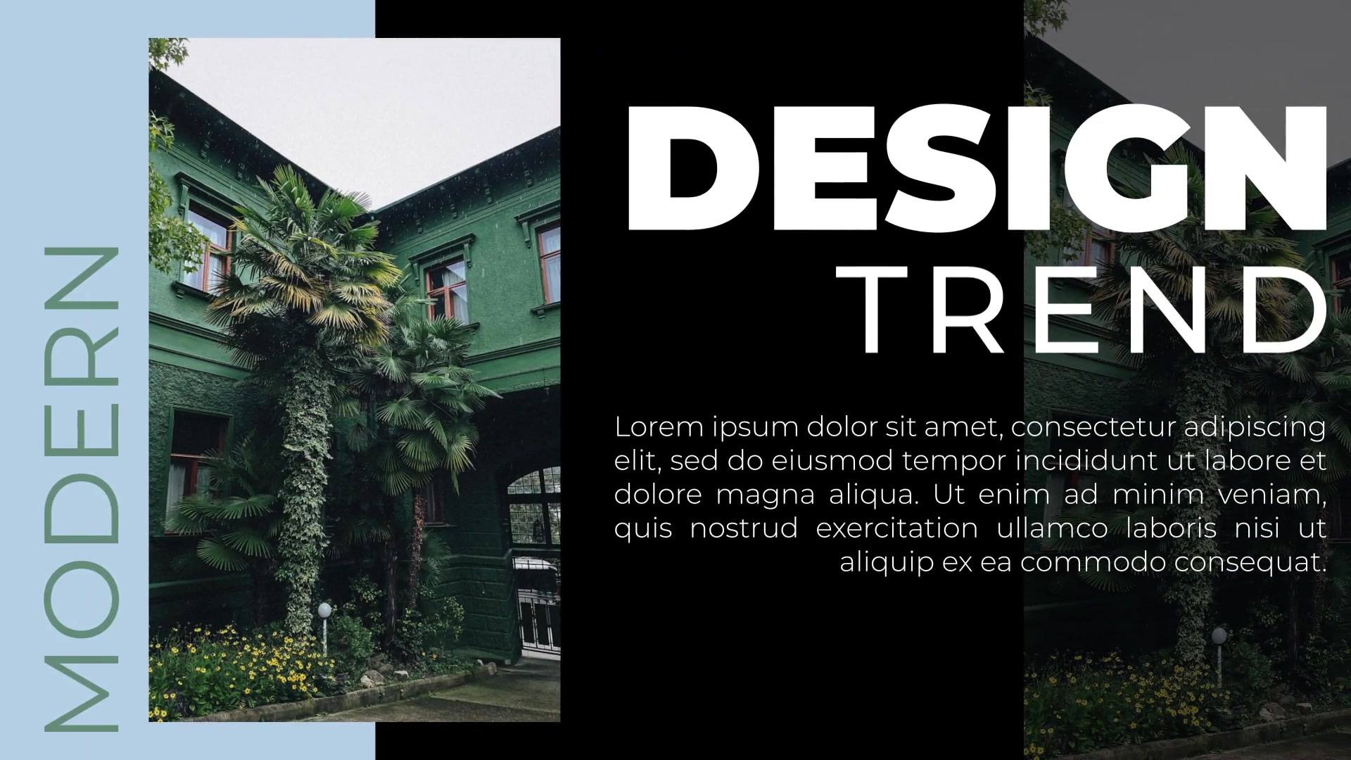 Typography Slide | FCPX & Apple Motion Videohive 39169127 Apple Motion Image 4