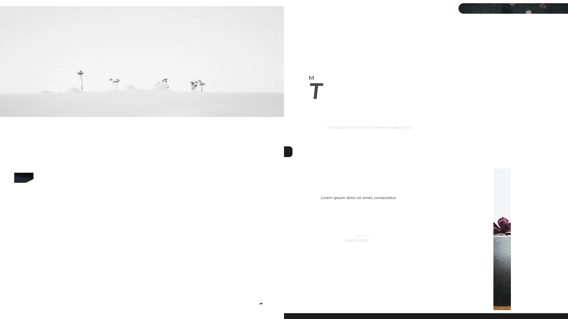 Typography Slide Minimal Slots V.03 | MOGRT Videohive 33415717 Premiere Pro Image 5