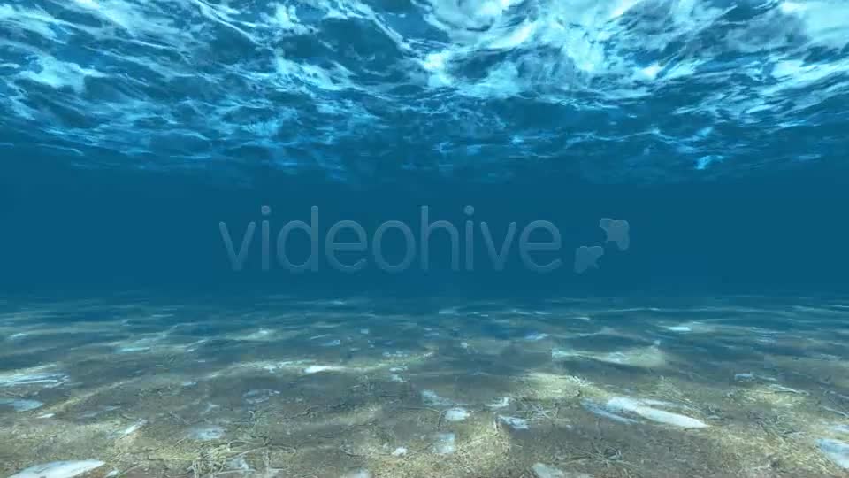 Underwater Videohive 6397668 Motion Graphics Image 1