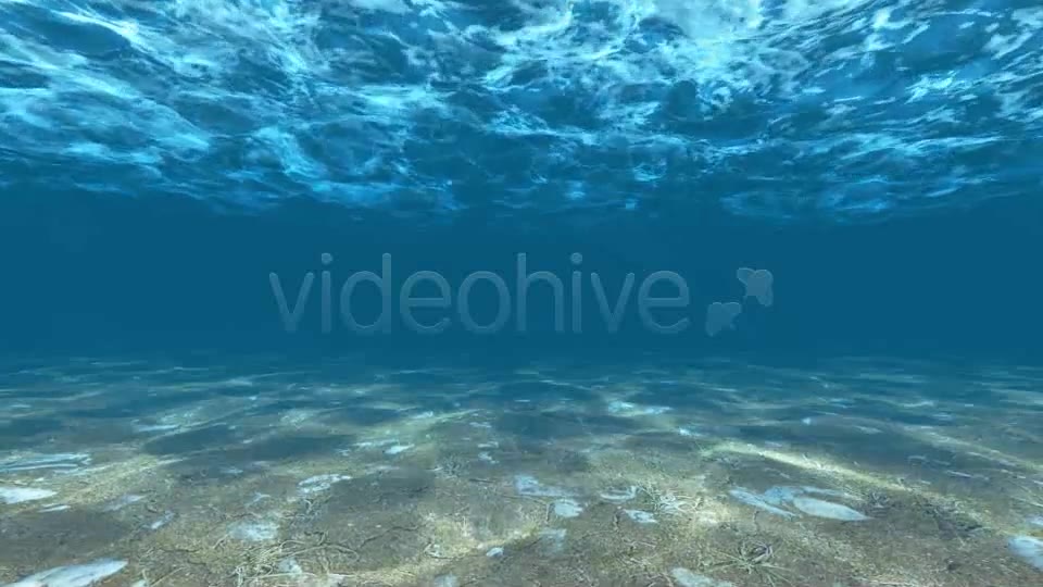 Underwater Videohive 6397668 Motion Graphics Image 2