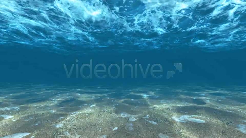 Underwater Videohive 6397668 Motion Graphics Image 3
