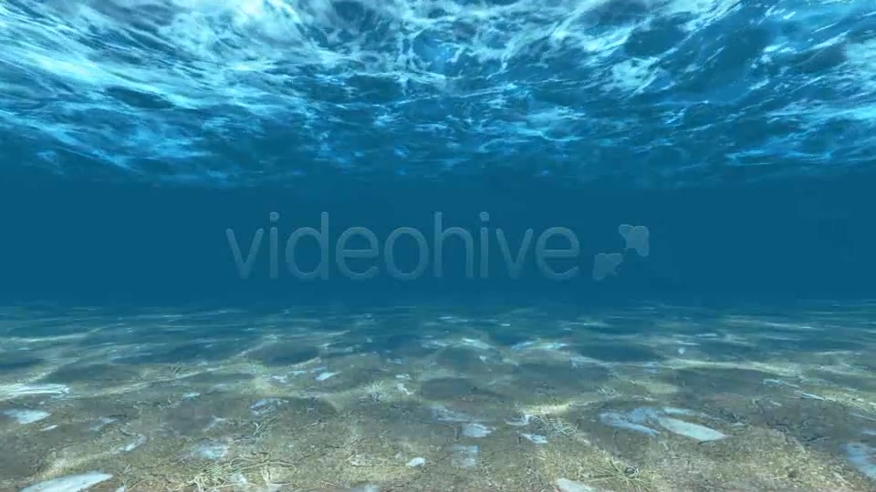 Underwater Videohive 6397668 Motion Graphics Image 4