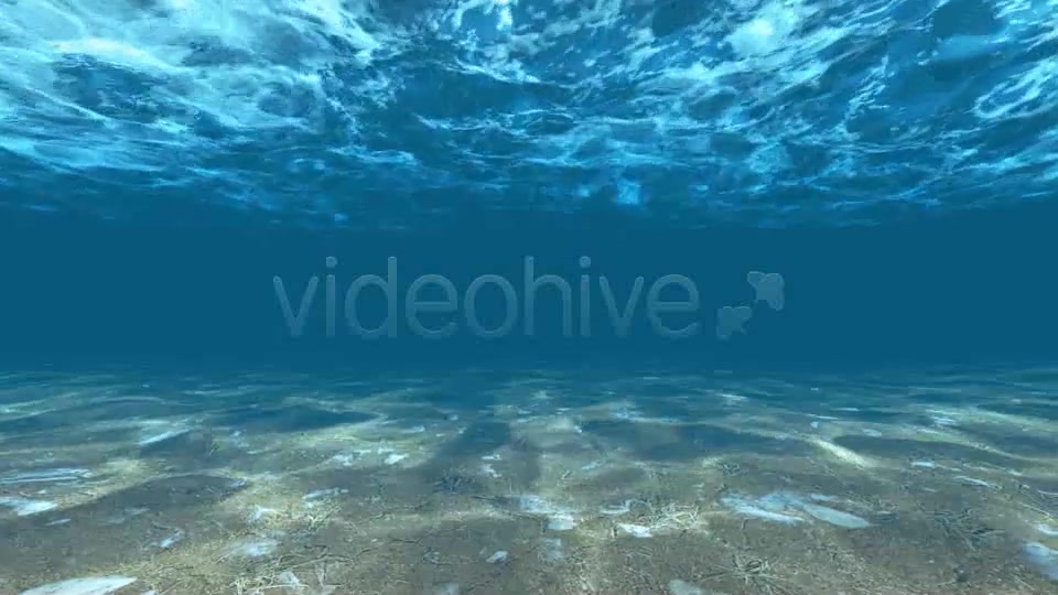Underwater Videohive 6397668 Motion Graphics Image 5