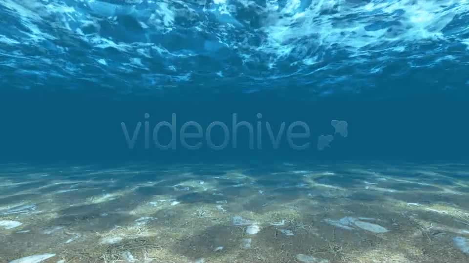 Underwater Videohive 6397668 Motion Graphics Image 7