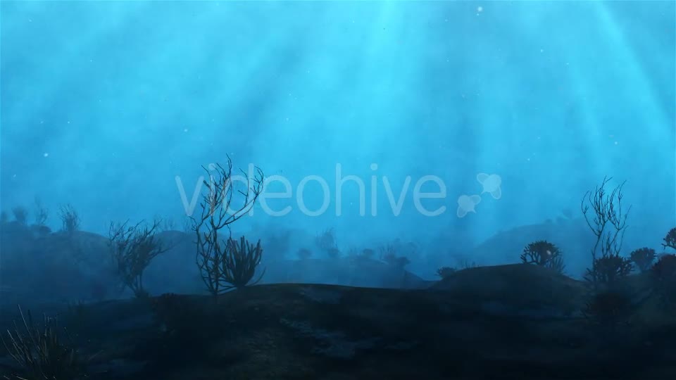 Underwater - Download Videohive 16452570