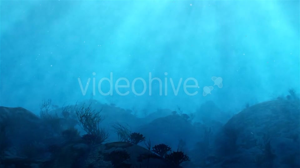 Underwater - Download Videohive 16452570