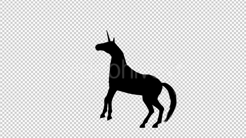 Unicorn Silhouette Pesade - Download Videohive 19296333