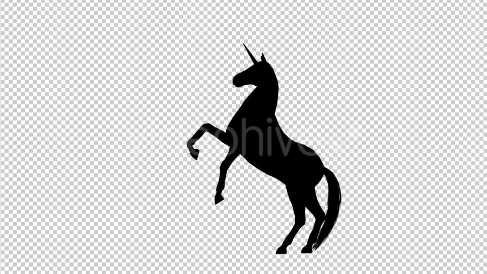 Unicorn Silhouette Pesade - Download Videohive 19296333