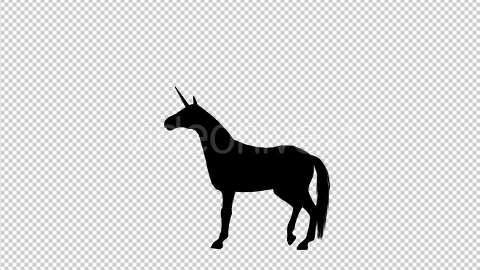 Unicorn Silhouette Pesade - Download Videohive 19296333