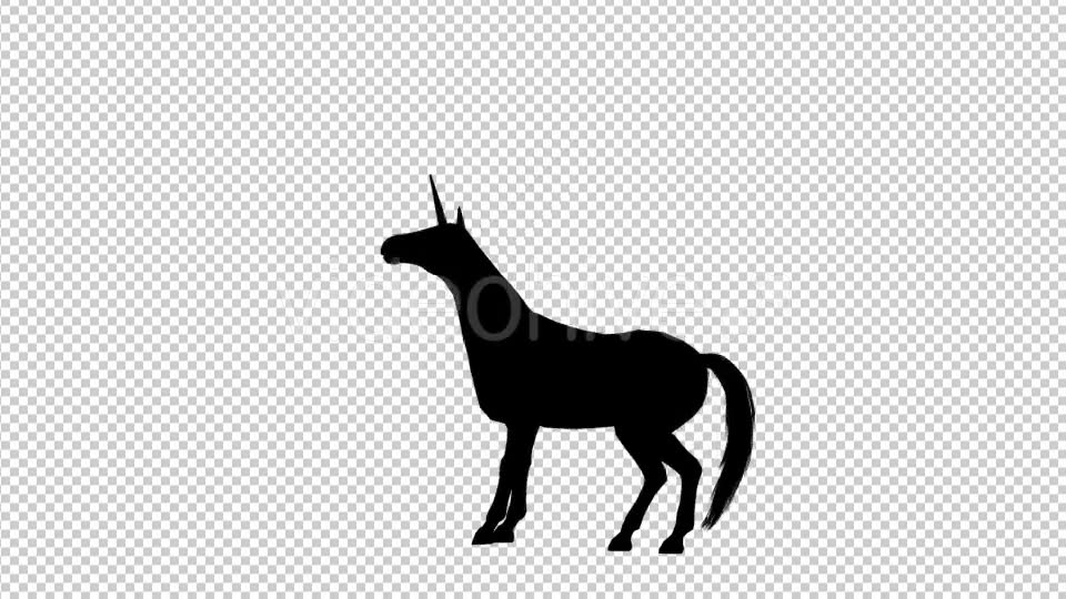 Unicorn Silhouette Pesade - Download Videohive 19296333