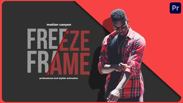 Unique Freeze Frame - 35156646 Videohive Download