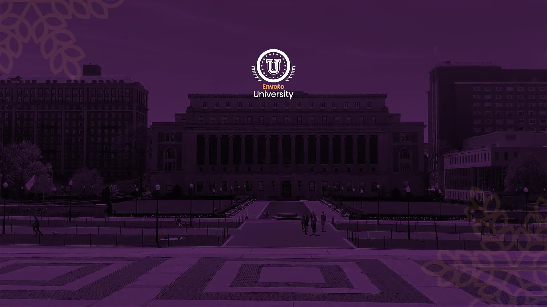 University Education Promo Videohive 32460526 After Effects Image 1