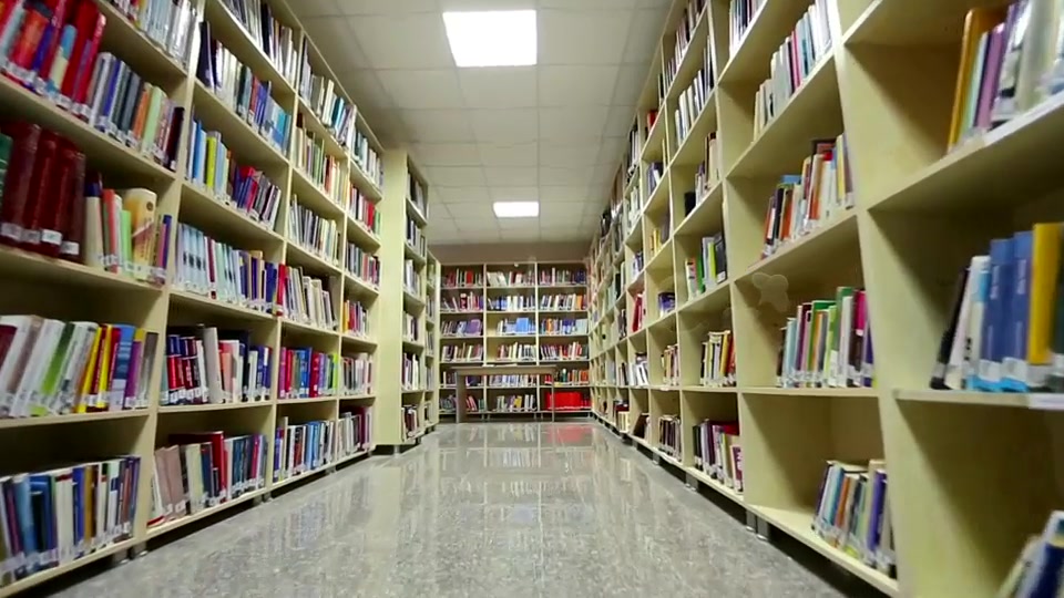 University Library  Videohive 7542959 Stock Footage Image 9