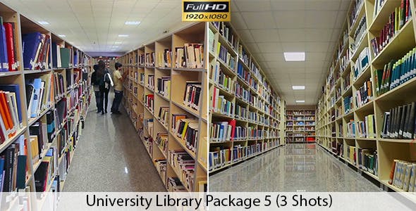 University Library  - 7542959 Videohive Download
