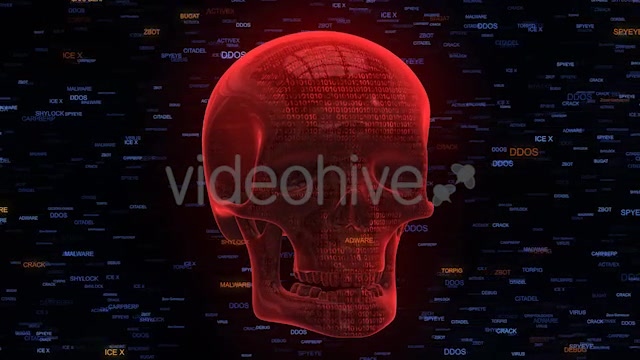 Unprotected Internet Security Red Skull Malware - Download Videohive 20795366