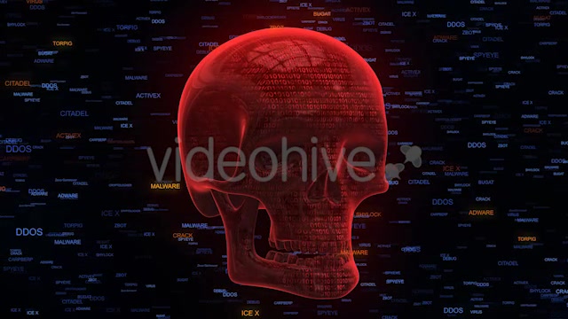 Unprotected Internet Security Red Skull Malware - Download Videohive 20795366