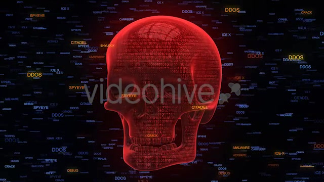 Unprotected Internet Security Red Skull Malware - Download Videohive 20795366