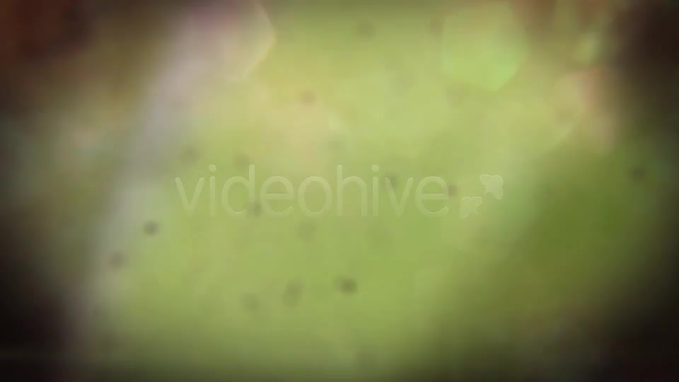 Untitled Grunge Project - Download Videohive 3565327