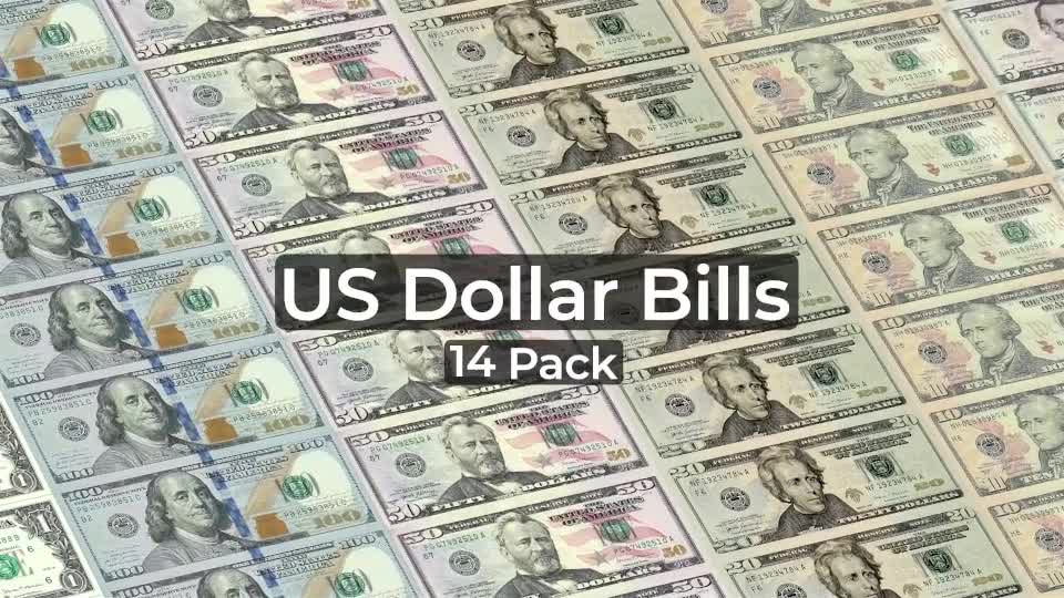 US Dollar Bills 14 Pack Videohive 33912561 After Effects Image 1