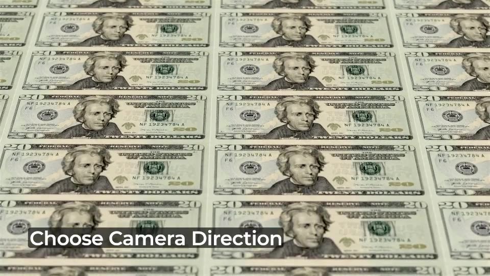 US Dollar Bills 14 Pack Videohive 33912561 After Effects Image 3