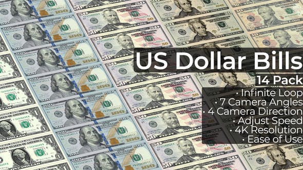 US Dollar Bills 14 Pack - 33912561 Download Videohive