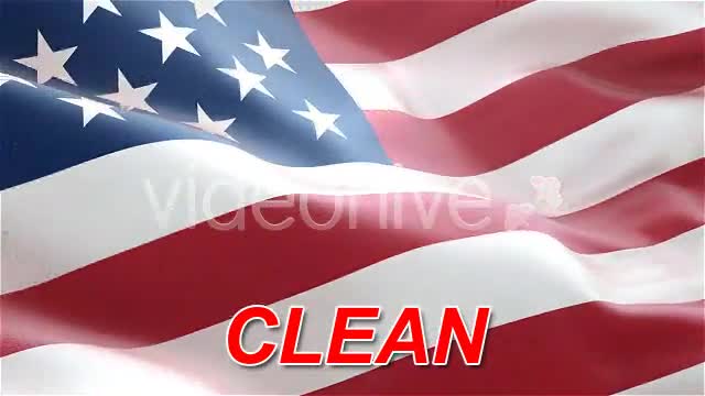 USA American Flag Videohive 75577 Motion Graphics Image 1