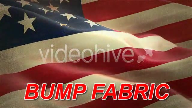 USA American Flag Videohive 75577 Motion Graphics Image 10