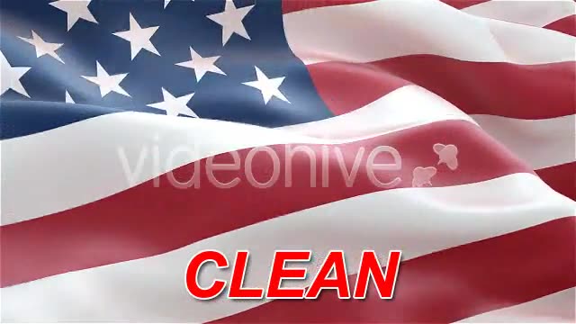 USA American Flag Videohive 75577 Motion Graphics Image 2