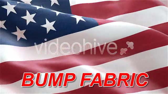 USA American Flag Videohive 75577 Motion Graphics Image 4