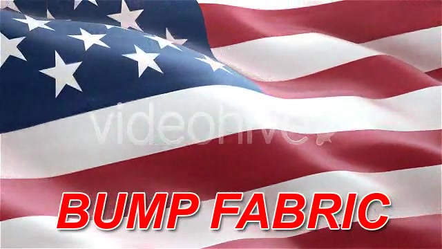 USA American Flag Videohive 75577 Motion Graphics Image 5