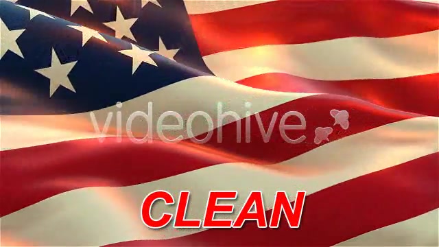 USA American Flag Videohive 75577 Motion Graphics Image 6