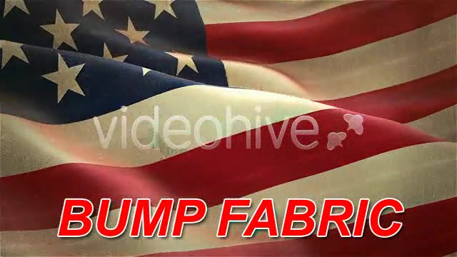 USA American Flag Videohive 75577 Motion Graphics Image 9