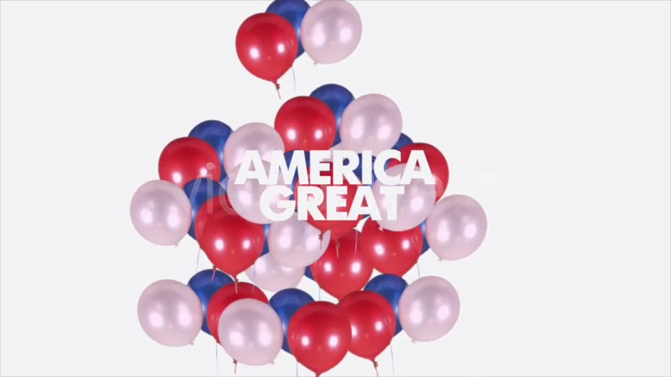 USA Badges - Download Videohive 19973986