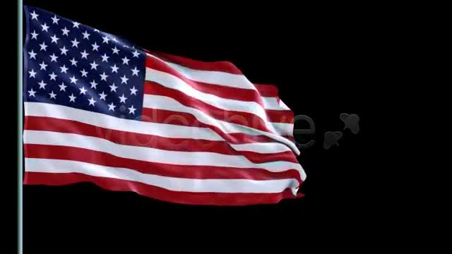 USA Flag Videohive 78142 Motion Graphics Image 1