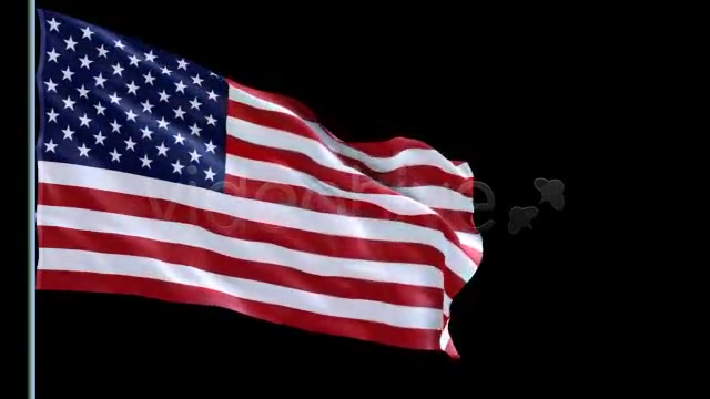 USA Flag Videohive 78142 Motion Graphics Image 5