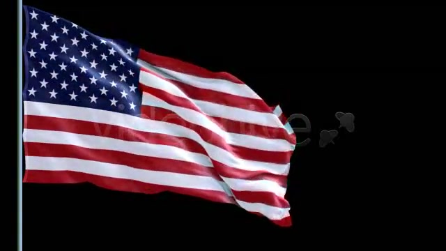 USA Flag Videohive 78142 Motion Graphics Image 8