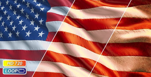 USA Flags - Download 1567006 Videohive