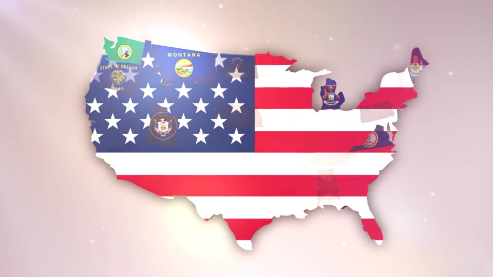 USA States Flag Logo - Download Videohive 16612822