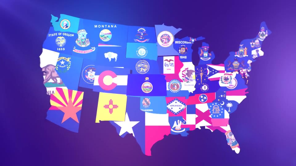 USA States Flag Logo - Download Videohive 16612822