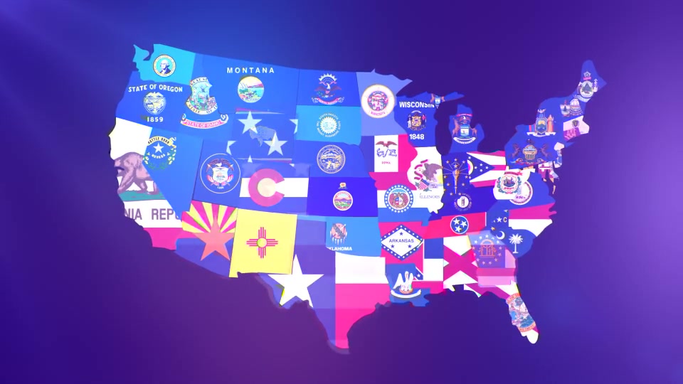 USA States Flag Logo - Download Videohive 16612822