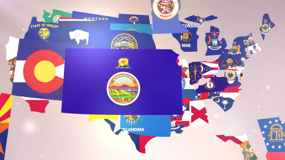 USA States Flag Logo - Download Videohive 16612822